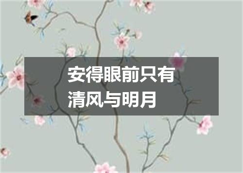 安得眼前只有清风与明月