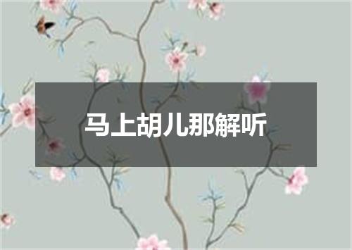 马上胡儿那解听