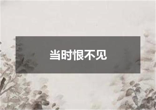 当时恨不见