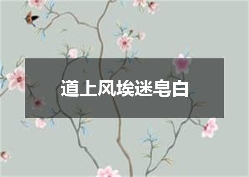 道上风埃迷皂白