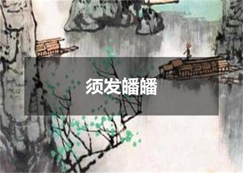 须发皤皤