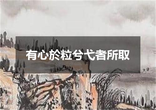 有心於粒兮弋者所取