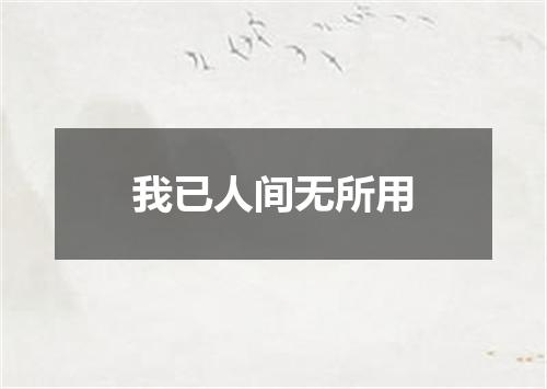 我已人间无所用