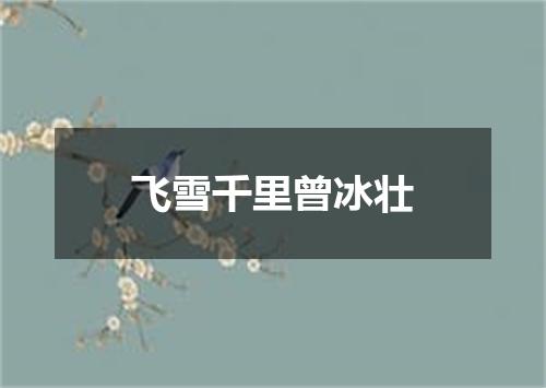 飞雪千里曾冰壮