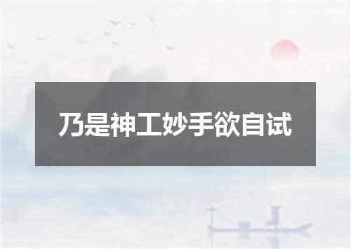 乃是神工妙手欲自试