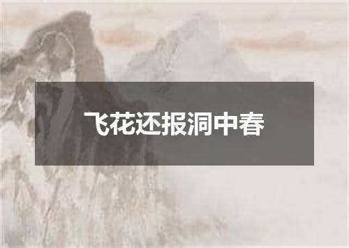飞花还报洞中春