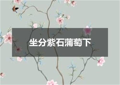 坐分紫石蒲萄下