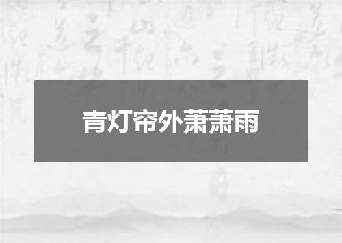 青灯帘外萧萧雨