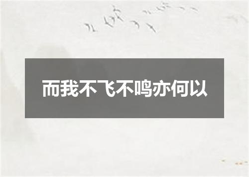 而我不飞不鸣亦何以