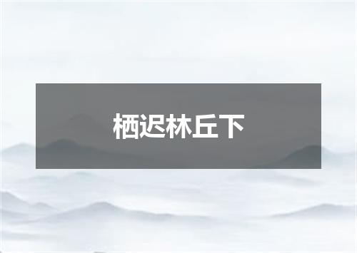 栖迟林丘下