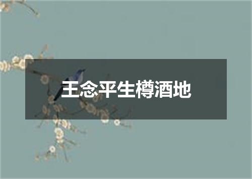 王念平生樽酒地