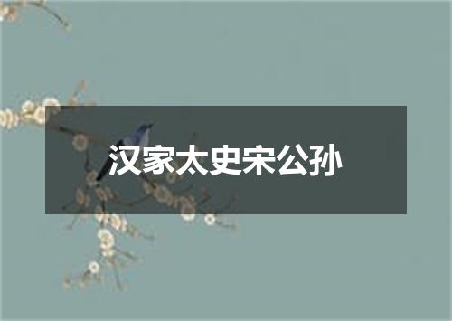 汉家太史宋公孙