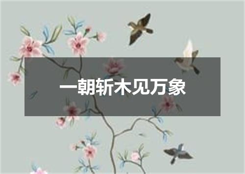 一朝斩木见万象