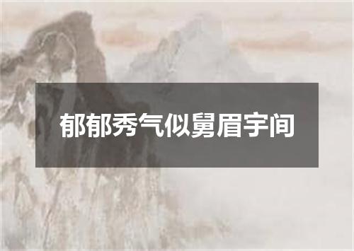 郁郁秀气似舅眉宇间
