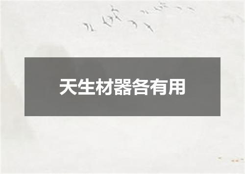 天生材器各有用