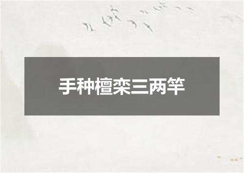 手种檀栾三两竿