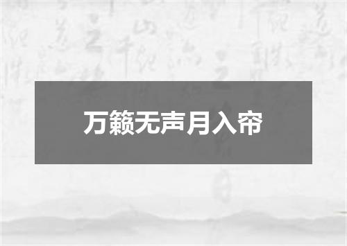 万籁无声月入帘