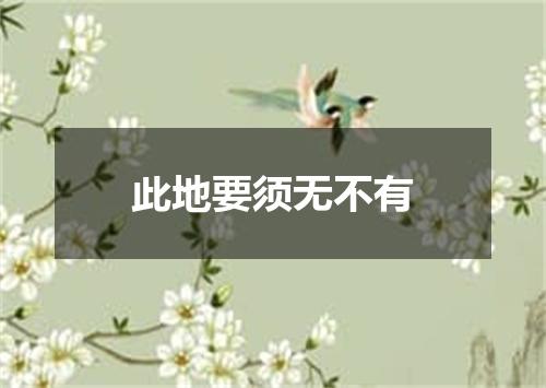 此地要须无不有