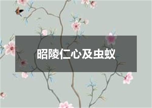 昭陵仁心及虫蚁