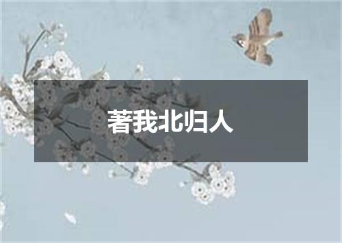 著我北归人
