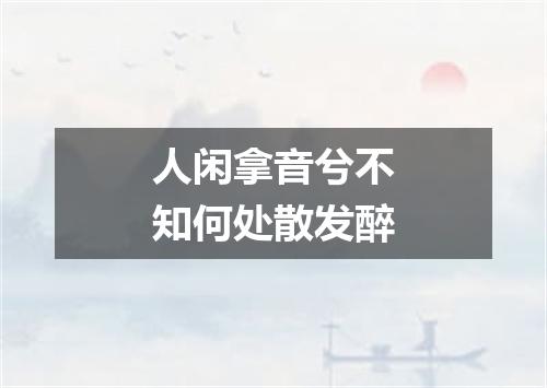 人闲拿音兮不知何处散发醉