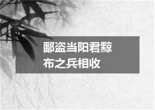 鄱盗当阳君黥布之兵相收