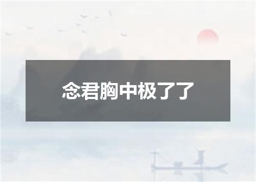 念君胸中极了了