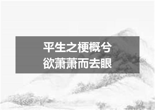 平生之梗概兮欲萧萧而去眼