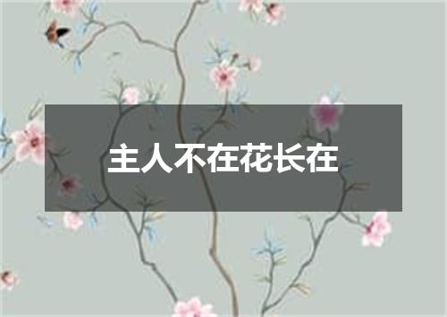 主人不在花长在