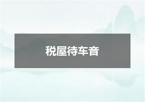 税屋待车音