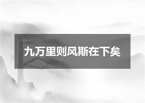 九万里则风斯在下矣