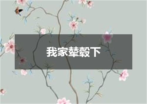 我家辇毂下