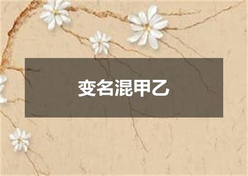 变名混甲乙