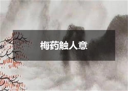梅药触人意