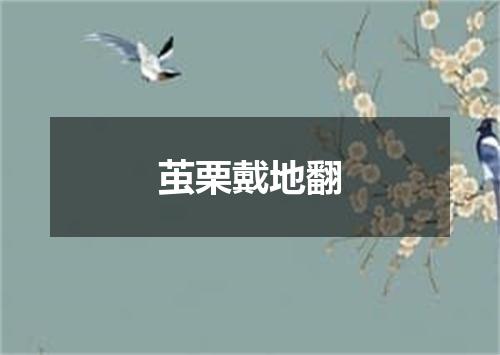 茧栗戴地翻