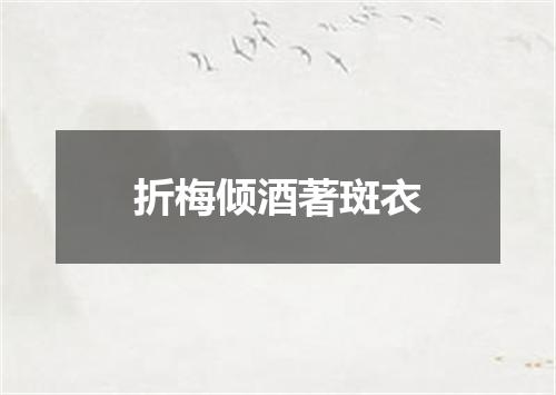 折梅倾酒著斑衣