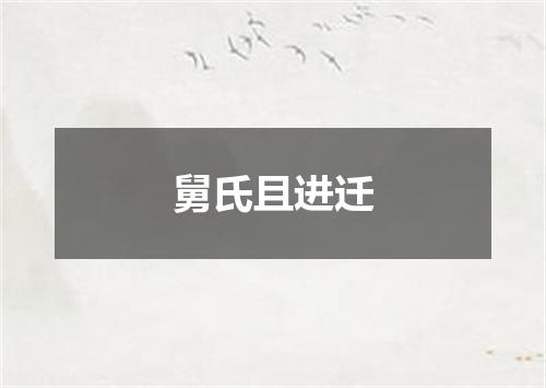 舅氏且进迁