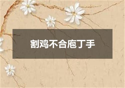 割鸡不合庖丁手