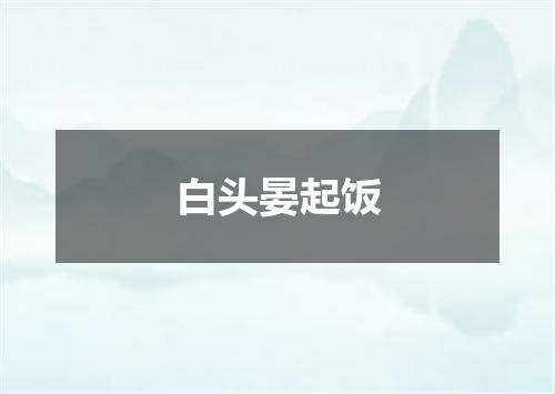 白头晏起饭