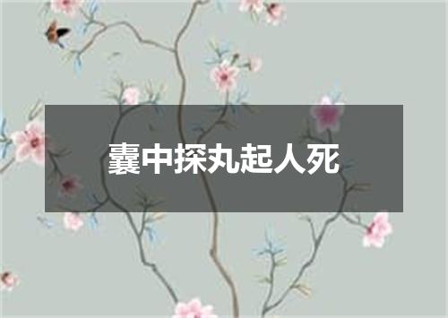 囊中探丸起人死