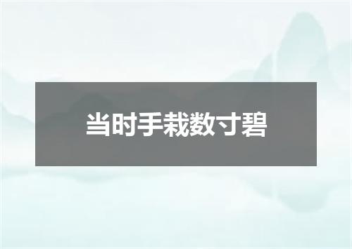 当时手栽数寸碧