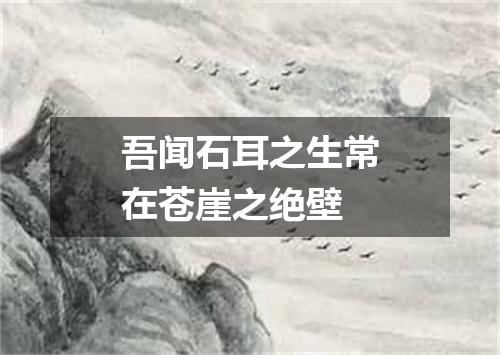 吾闻石耳之生常在苍崖之绝壁