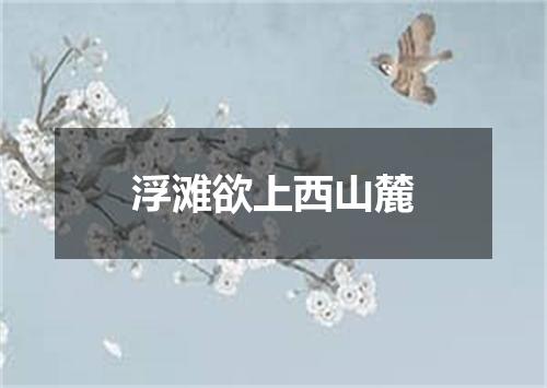 浮滩欲上西山麓