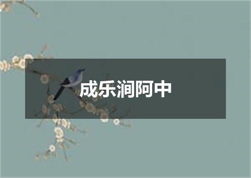 成乐涧阿中