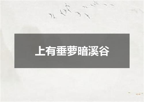 上有垂萝暗溪谷