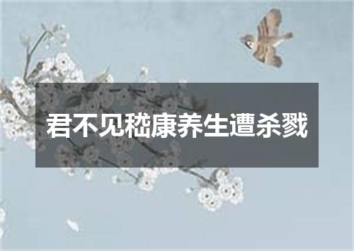 君不见嵇康养生遭杀戮