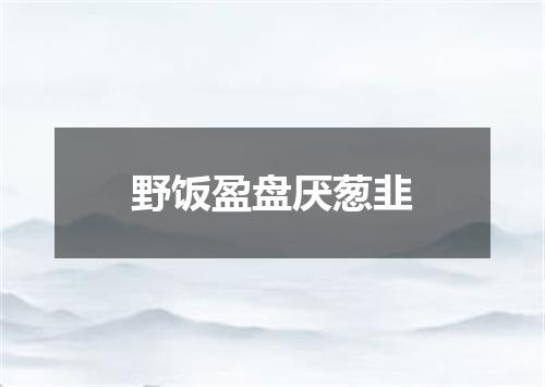 野饭盈盘厌葱韭