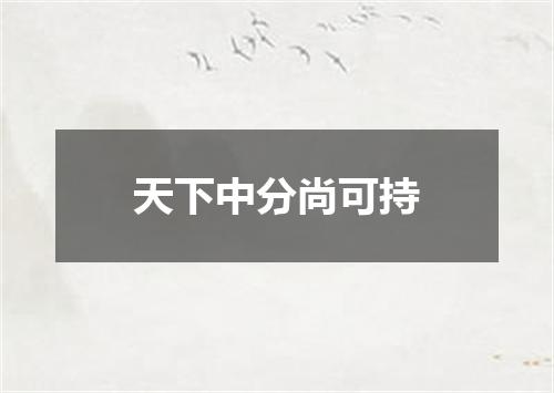 天下中分尚可持