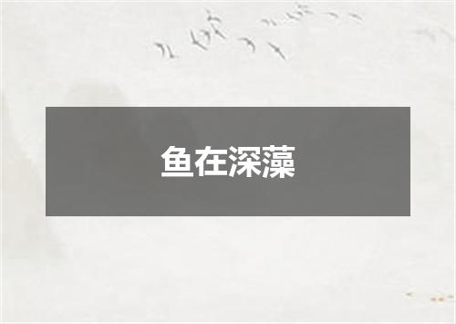 鱼在深藻