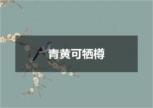 青黄可牺樽